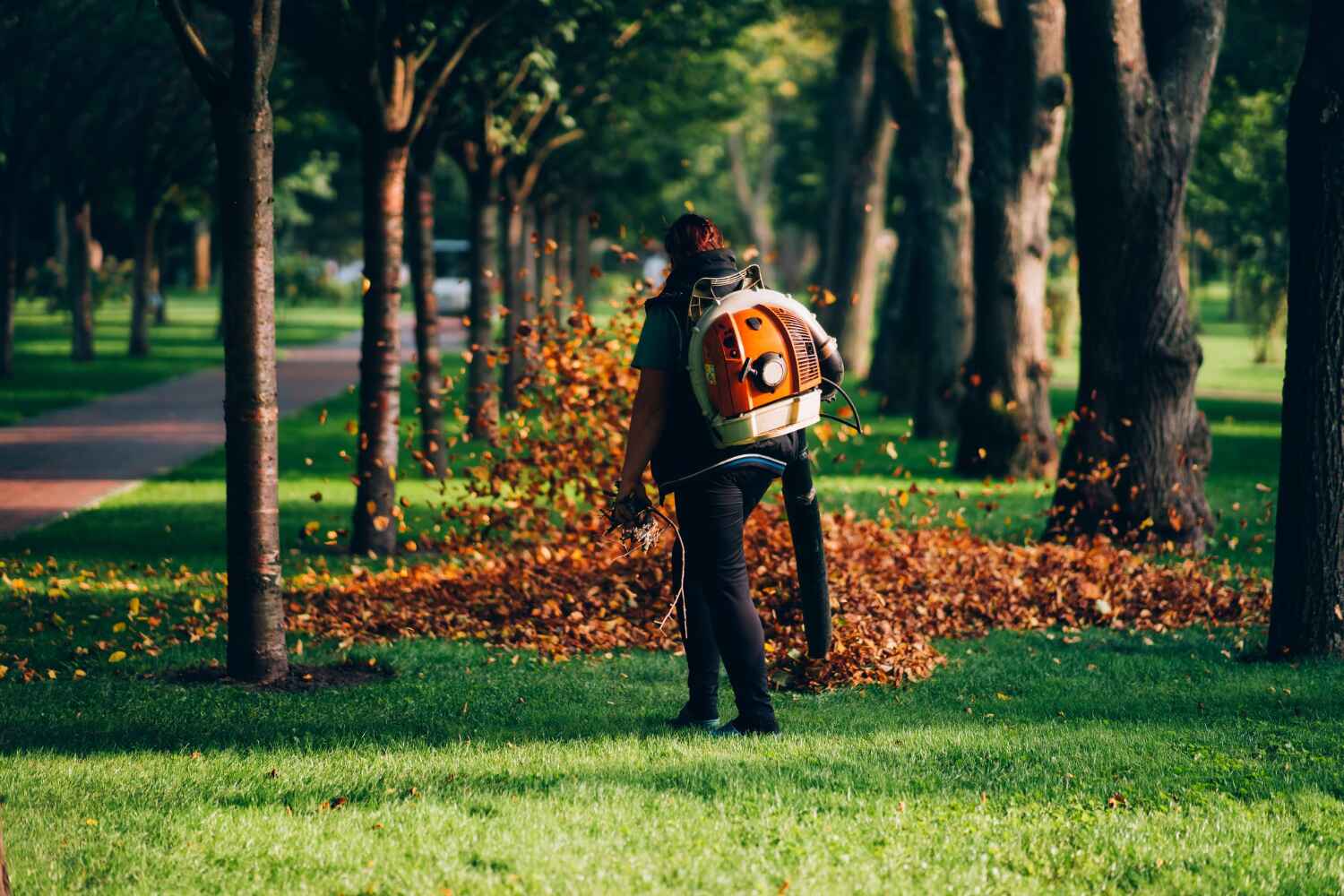 Best Tree Disease Treatment  in Red Lake, MN